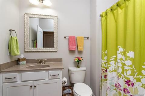 11601 Mount Argus Dr, Cornelius, NC 28031 photo 18