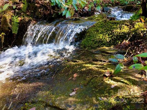 Lot 12 Silver Maple Trail, Brevard, NC 28712