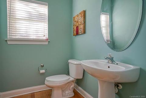 9708 Willow Leaf Ln, Cornelius, NC 28031 photo 11