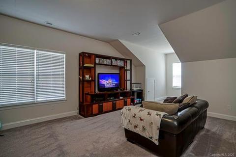 9708 Willow Leaf Ln, Cornelius, NC 28031 photo 19