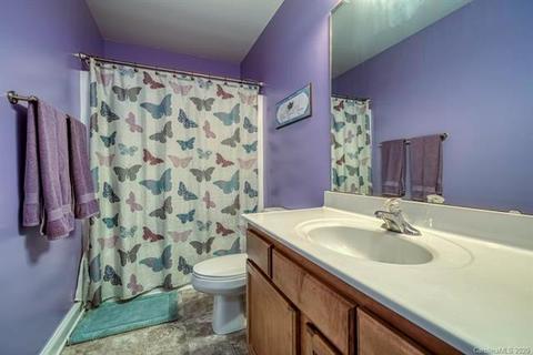 9708 Willow Leaf Ln, Cornelius, NC 28031 photo 17
