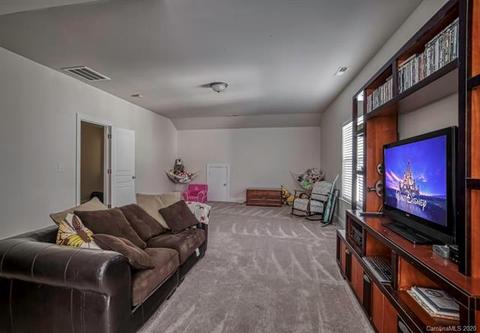 9708 Willow Leaf Ln, Cornelius, NC 28031 photo 20