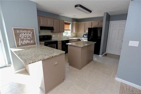 115 Easter Ln, Davidson, NC 28036 photo 10