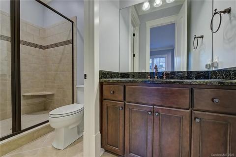 18603 River Falls Dr, Davidson, NC 28036 photo 29