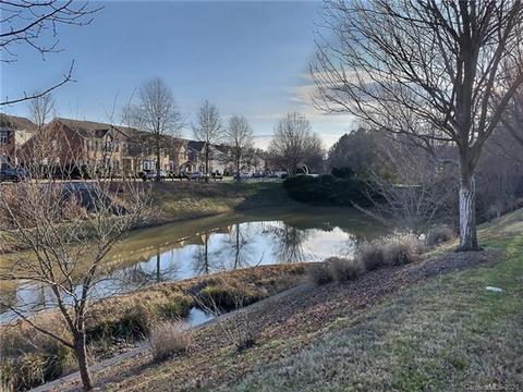 20524 Harbor View Dr, Cornelius, NC 28031 photo 30