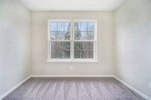 706 Shellstone Pl, Fort Mill, SC 29708 photo 19