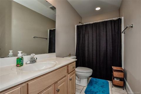 6096 Jupiter Rd, Denver, NC 28037 photo 44