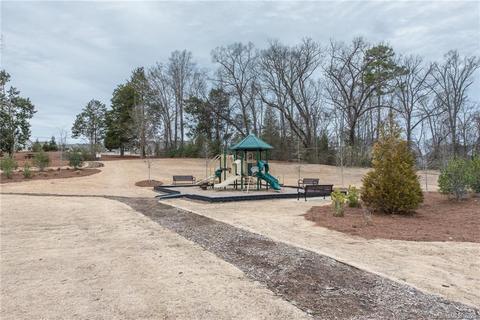 18800 Avery Park Dr, Cornelius, NC 28031 photo 41
