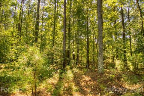 6379 Chimney Bluff Rd, Lancaster, SC 29720 photo 9
