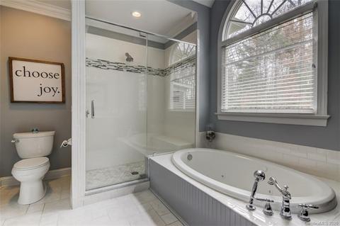 17919 River Ford Dr, Davidson, NC 28036 photo 20