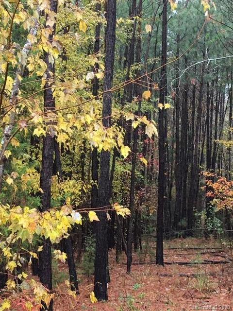 4491 Cannery Rd, Lancaster, SC 29720 photo 4