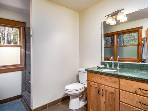 1298 Probart St, Brevard, NC 28712 photo 35