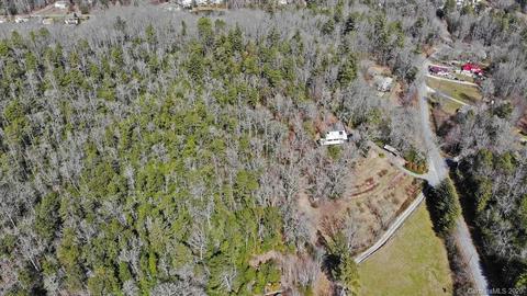 1298 Probart St, Brevard, NC 28712 photo 48