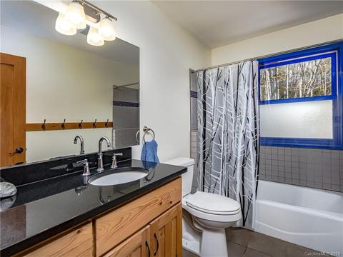 1298 Probart St, Brevard, NC 28712 photo 38