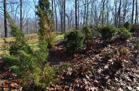 63 Gail Dr, Tryon, NC 28782 photo 16