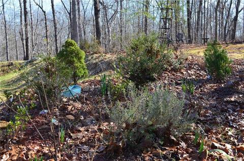63 Gail Dr, Tryon, NC 28782 photo 27