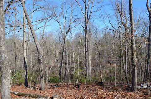 63 Gail Dr, Tryon, NC 28782 photo 25