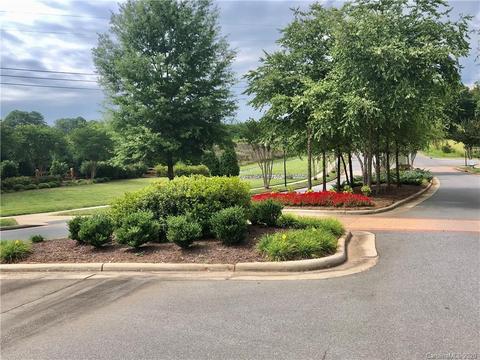 11524 Dublin Crescent Rd, Cornelius, NC 28031 photo 38