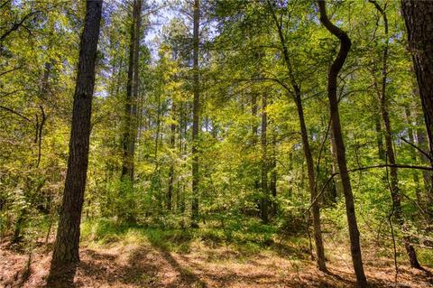 6371 Chimney Bluff Rd, Lancaster, SC 29720 photo 5