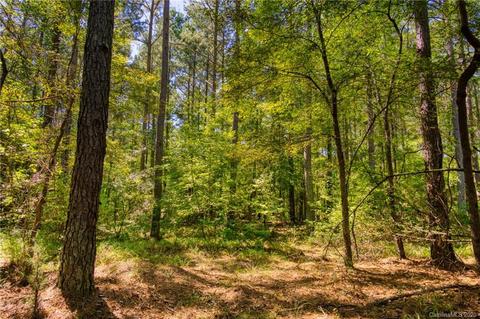 6371 Chimney Bluff Rd, Lancaster, SC 29720 photo 4