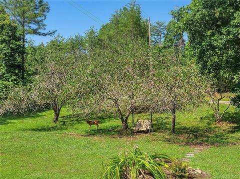 549 King Stepp Rd, Mill Spring, NC 28756 photo 37