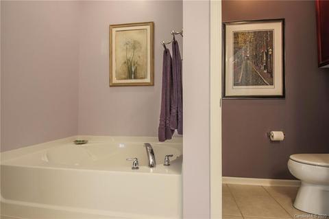 680 Amethyst Cir, Fort Mill, SC 29708 photo 16