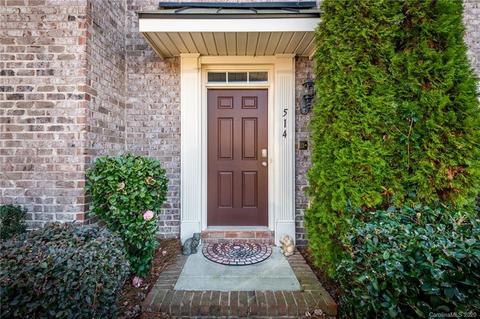514 Liburdi Ct, Davidson, NC 28036 photo 1