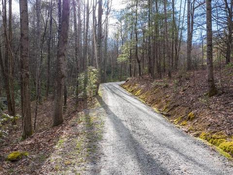 1147 Pace Mountain Rd, Saluda, NC 28773 photo 44