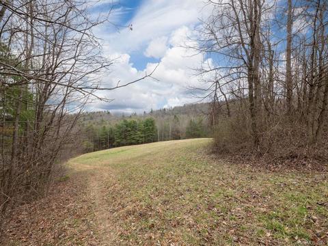 1147 Pace Mountain Rd, Saluda, NC 28773 photo 38