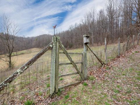 1147 Pace Mountain Rd, Saluda, NC 28773 photo 27