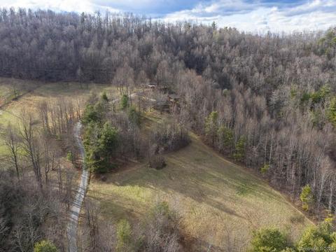 1147 Pace Mountain Rd, Saluda, NC 28773 photo 42