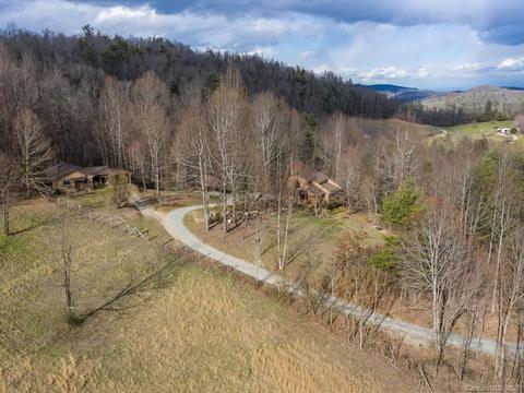 1147 Pace Mountain Rd, Saluda, NC 28773 photo 3