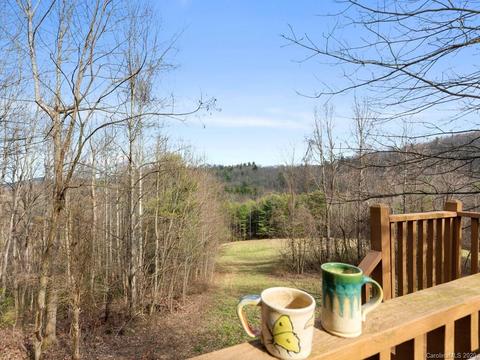 1147 Pace Mountain Rd, Saluda, NC 28773 photo 22