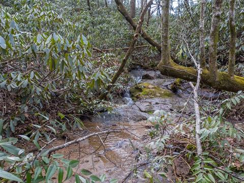 1147 Pace Mountain Rd, Saluda, NC 28773 photo 43