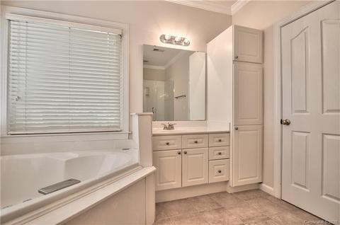18517 Dembridge Dr, Davidson, NC 28036 photo 28