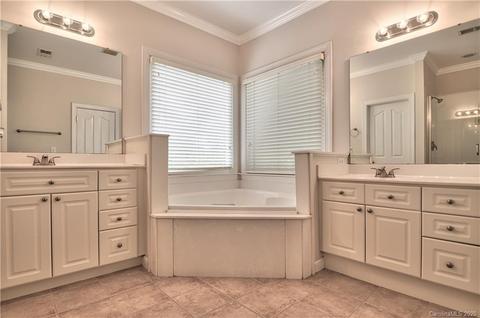 18517 Dembridge Dr, Davidson, NC 28036 photo 27