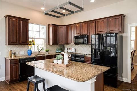 229 Ohenry Ave, Davidson, NC 28036 photo 11