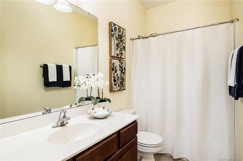 229 Ohenry Ave, Davidson, NC 28036 photo 25