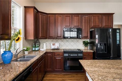 229 Ohenry Ave, Davidson, NC 28036 photo 12