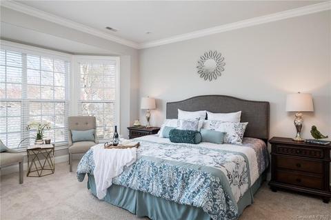 229 Ohenry Ave, Davidson, NC 28036 photo 20