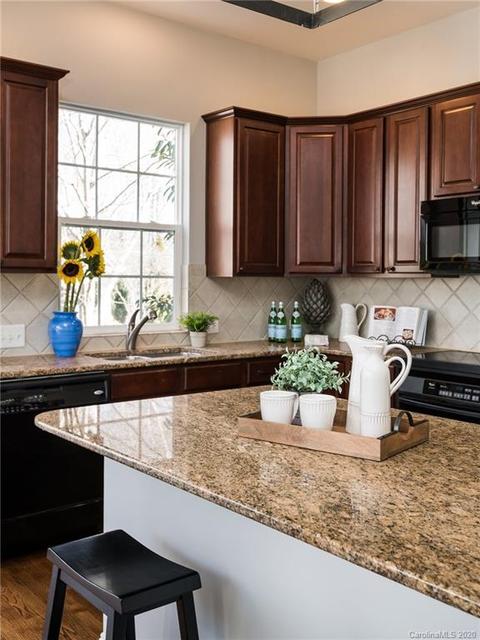 229 Ohenry Ave, Davidson, NC 28036 photo 13