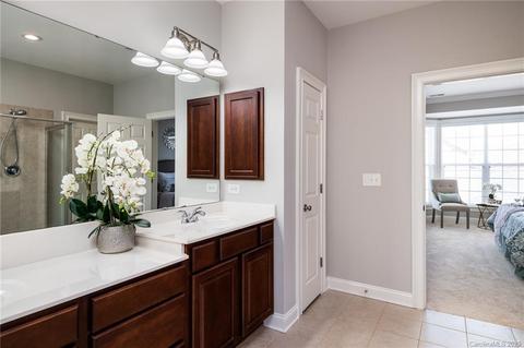229 Ohenry Ave, Davidson, NC 28036 photo 21