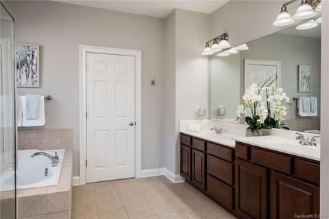 229 Ohenry Ave, Davidson, NC 28036 photo 23