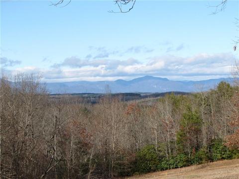 201 Good Earth Ln, Tryon, NC 28782 photo 3