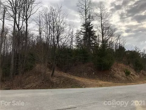 120 Mountain Elder 80 Ln #80, Hendersonville, NC 28739