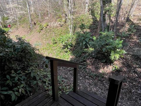 474 Warrior Dr, Tryon, NC 28782 photo 22