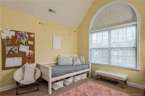 10825 Clark St, Davidson, NC 28036 photo 35