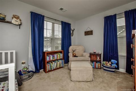18111 Train Station Dr, Cornelius, NC 28031 photo 28