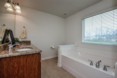18111 Train Station Dr, Cornelius, NC 28031 photo 25