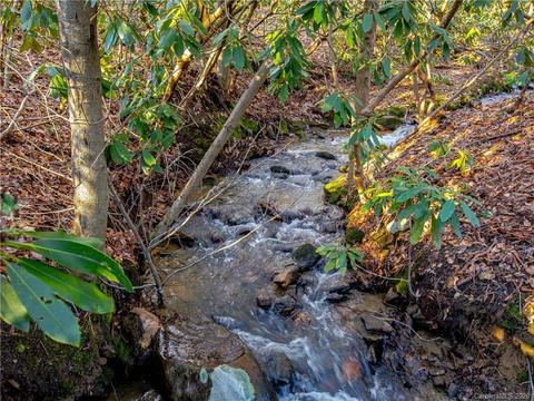20 Stills Creek Loop, Fairview, NC 28730 photo 45